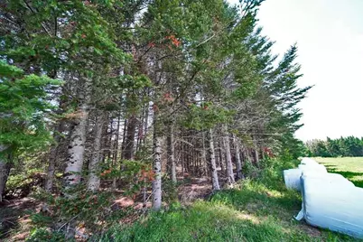 Lot 7 Drews Lake Road, Houlton, ME 04730 - Photo 37