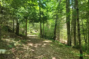 15 Hillside Wy, Newry, ME 04261 - Photo 3