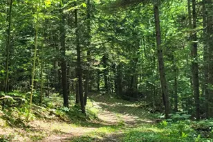 15 Hillside Wy, Newry, ME 04261 - Photo 5