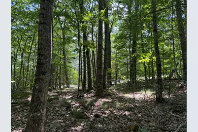 3.41 Acres Belden Woods Road, Palermo, ME 04354 - Photo 9