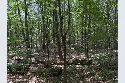 3.41 Acres Belden Woods Road, Palermo, ME 04354 - Photo 11