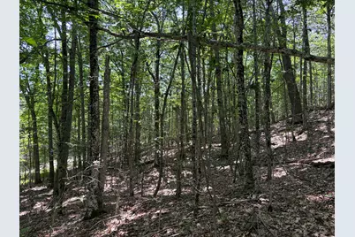 3.41 Acres Belden Woods Road, Palermo, ME 04354 - Photo 13