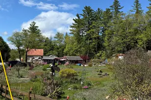 5 Crooked River Causeway, Albany, ME 04217 - Photo 25