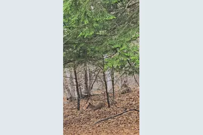 146 Belcher Road, Farmington, ME 04938 - Photo 77