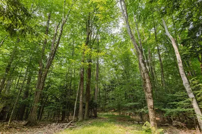 146 Belcher Road, Farmington, ME 04938 - Photo 51