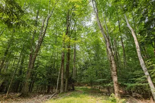 146 Belcher Rd, Farmington, ME 04938 - Photo 51
