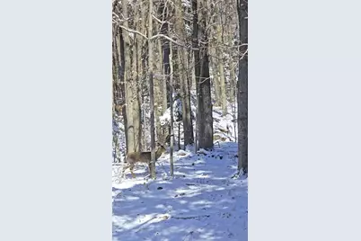 146 Belcher Road, Farmington, ME 04938 - Photo 81