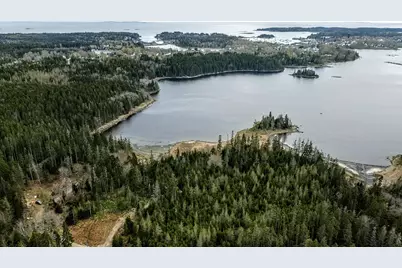 Map6 Lot37 Back Woods Road, Vinalhaven, ME 04863 - Photo 9
