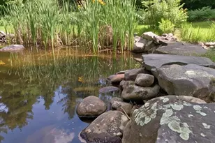 897 Main St, Wayne, ME 04284 - Photo 141
