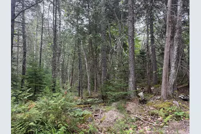 00 Youngâ€™s Point Road, Brooksville, ME 04617 - Photo 1