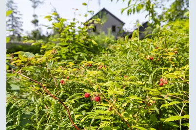 14 Oliver Lane, Gorham, ME 04038 - Photo 65