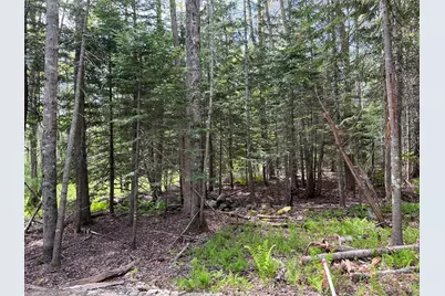 Lot 0 Fairbanks Drive, Rockport, ME 04856 - Photo 11