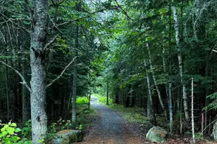 3 Forest Depths Rd, Beaver Cove, ME 04441 - Photo 73