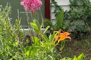 69 Liberty St, Dexter, ME 04930 - Photo 51