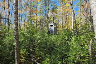 189 Degerstrom Rd, Monson, ME 04464 - Photo 59