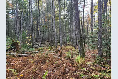 189 Degerstrom Road, Monson, ME 04464 - Photo 55