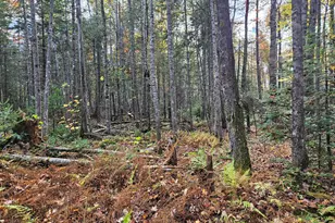 189 Degerstrom Rd, Monson, ME 04464 - Photo 55