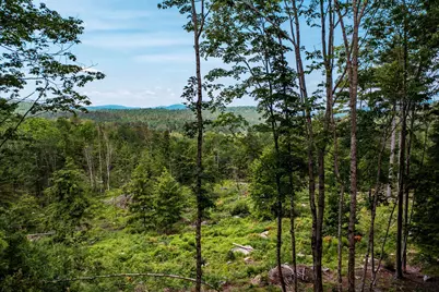 Lot 62 Bird Hill Road, Bethel, ME 04219 - Photo 9