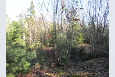 90 Farm Edge Road, Sullivan, ME 04664 - Photo 3