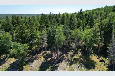 1246 County Road, Trescott Twp, ME 04652 - Photo 75