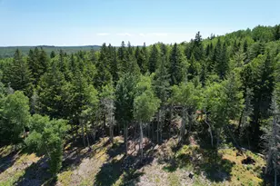 1246 County Rd, Trescott Twp, ME 04652 - Photo 75