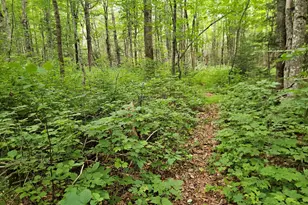 10 Moosehorn Rd, Abbot, ME 04406 - Photo 31