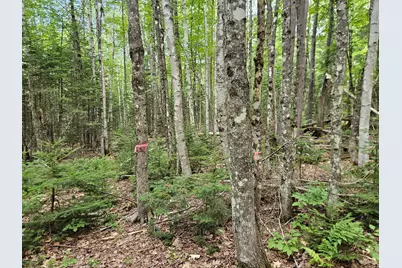 10 Moosehorn Road, Abbot, ME 04406 - Photo 35
