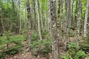 10 Moosehorn Rd, Abbot, ME 04406 - Photo 35