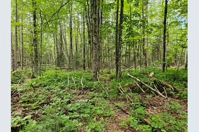10 Moosehorn Road, Abbot, ME 04406 - Photo 33