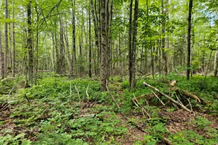10 Moosehorn Rd, Abbot, ME 04406 - Photo 33