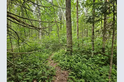 10 Moosehorn Road, Abbot, ME 04406 - Photo 29
