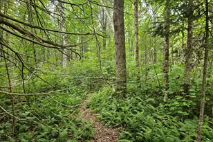 10 Moosehorn Rd, Abbot, ME 04406 - Photo 29