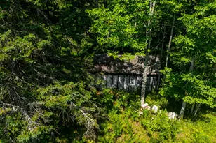 47 Tranquility Ln, Perry, ME 04667 - Photo 23