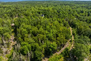 47 Tranquility Ln, Perry, ME 04667 - Photo 45