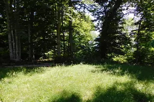 47 Tranquility Ln, Perry, ME 04667 - Photo 3