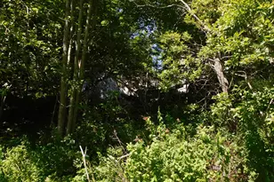 47 Tranquility Ln, Perry, ME 04667 - Photo 11