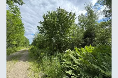 Map 24 Old County Road, Charlotte, ME 04666 - Photo 23