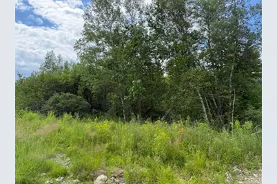 Map 24 Old County Road, Charlotte, ME 04666 - Photo 29