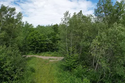 Map 24 Old County Road, Charlotte, ME 04666 - Photo 45