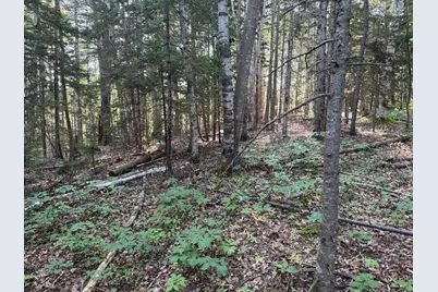 00 Pine Tree Lane, Boothbay, ME 04537 - Photo 5
