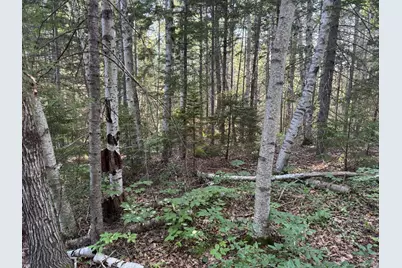 00 Pine Tree Lane, Boothbay, ME 04537 - Photo 7