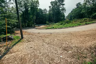 64 N, Limington, ME 04049 - Photo 9