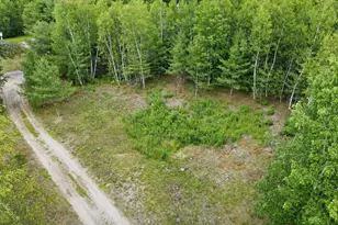 4360 Bennoch Rd, Alton, ME 04468 - Photo 29