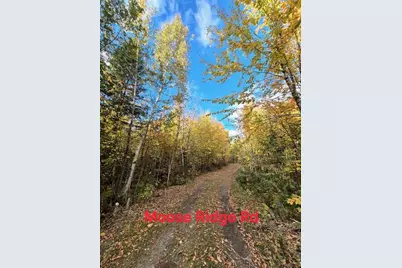 Lot 2 Morrison Brook Acres, Oakfield, ME 04763 - Photo 15