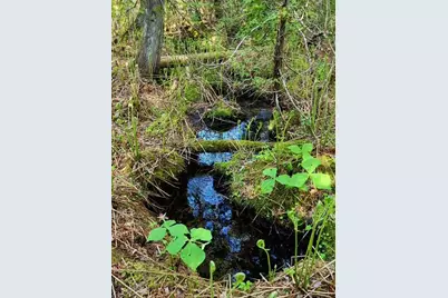 Lot 2 Morrison Brook Acres, Oakfield, ME 04763 - Photo 11