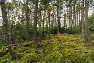 M3-2A Oceanville Road, Stonington, ME 04681 - Photo 5
