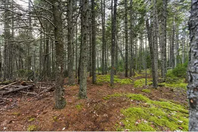 M3-2A Oceanville Road, Stonington, ME 04681 - Photo 25