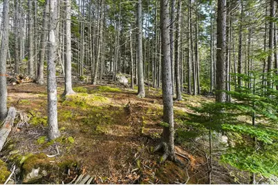 M3-2A Oceanville Road, Stonington, ME 04681 - Photo 21