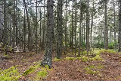 M3-2A Oceanville Road, Stonington, ME 04681 - Photo 27