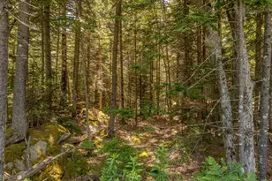767 Port Clyde Rd, Saint George, ME 04855 - Photo 75